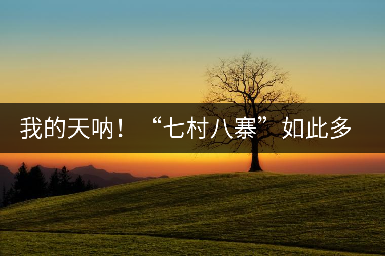 我的天吶！“七村八寨”如此多的易武茶，品質(zhì)特色如何分辨？