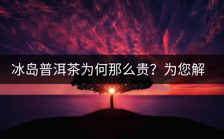 冰島普洱茶為何那么貴？為您解析其中的原由