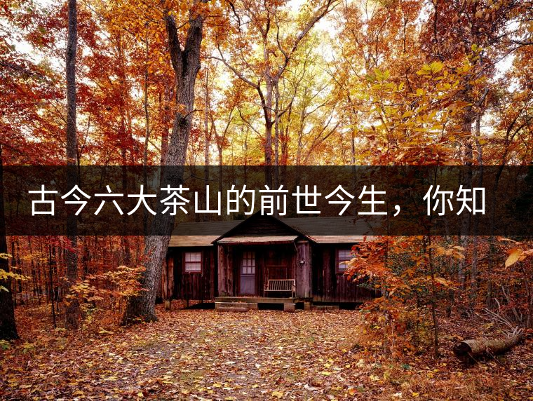 古今六大茶山的前世今生，你知多少？