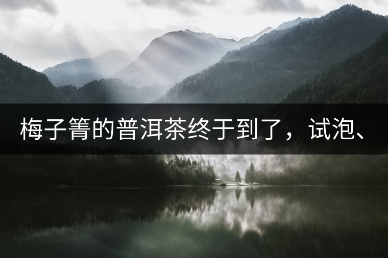 梅子箐的普洱茶終于到了，試泡、、、