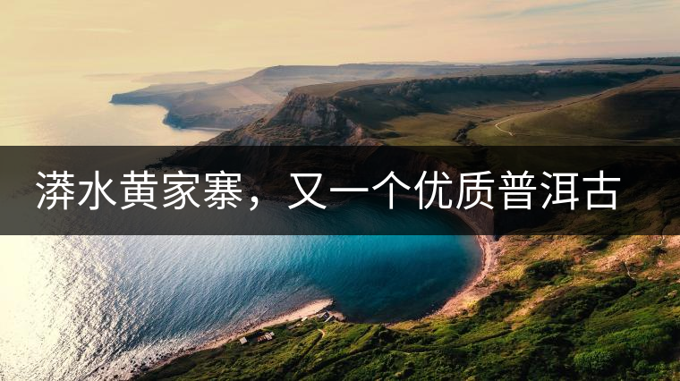 漭水黃家寨，又一個(gè)優(yōu)質(zhì)普洱古樹(shù)群落