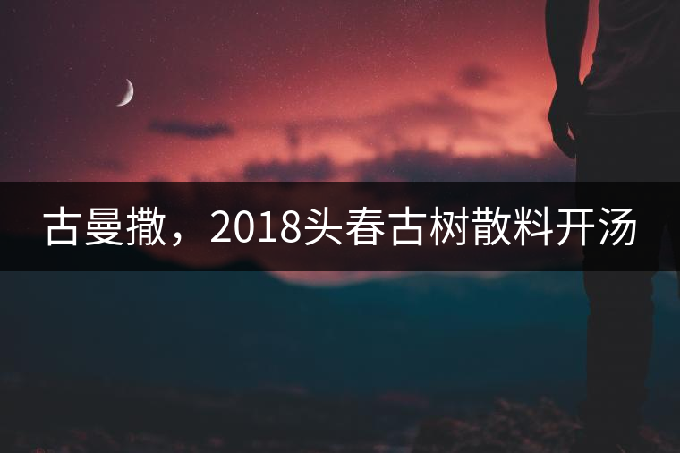 古曼撒，2018頭春古樹散料開湯