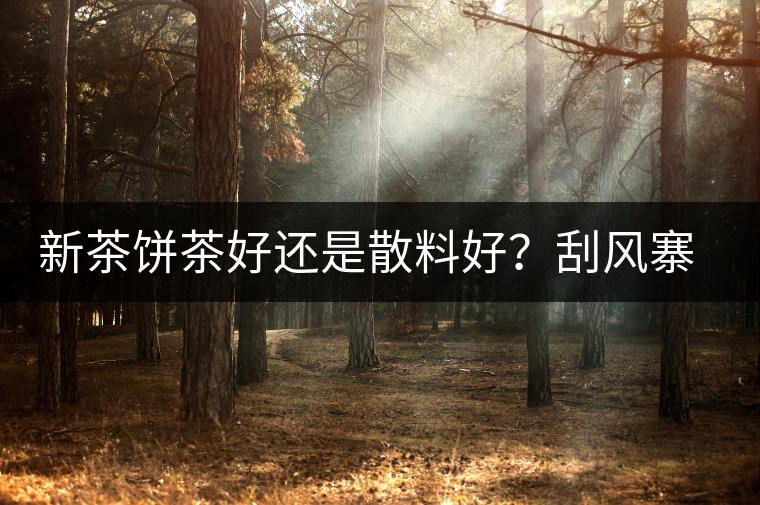 新茶餅茶好還是散料好？刮風(fēng)寨開湯評測