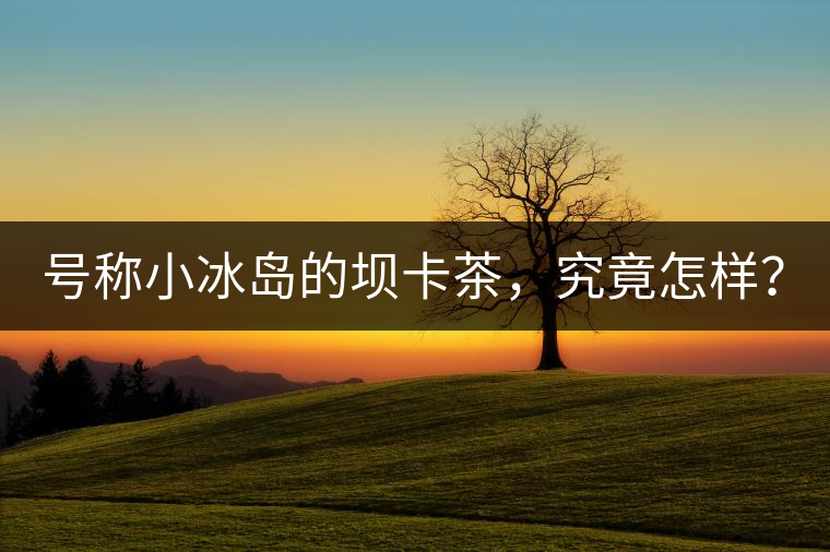 號稱小冰島的壩卡茶，究竟怎樣？