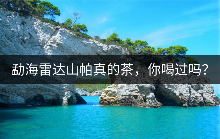 勐海雷達山帕真的茶，你喝過嗎？