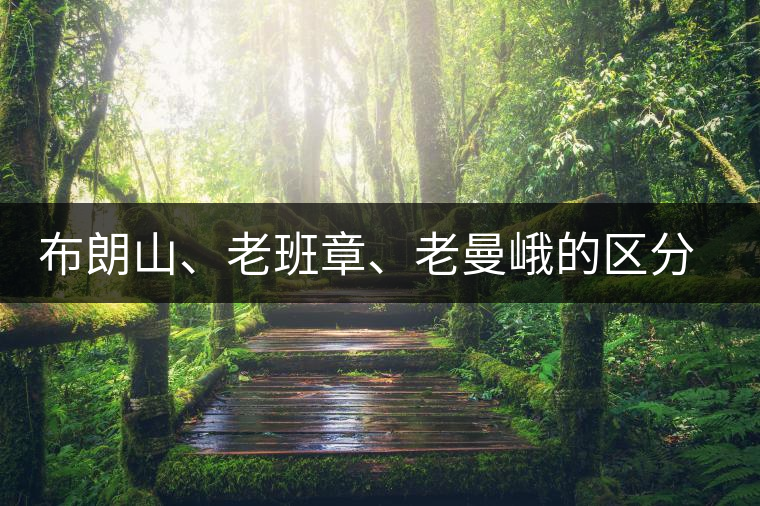 布朗山、老班章、老曼峨的區(qū)分和鑒別