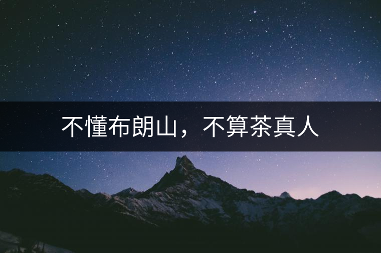 不懂布朗山，不算茶真人