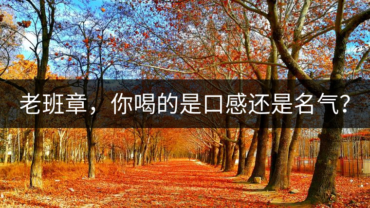 老班章，你喝的是口感還是名氣？