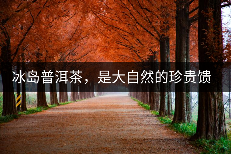 冰島普洱茶，是大自然的珍貴饋贈(zèng)