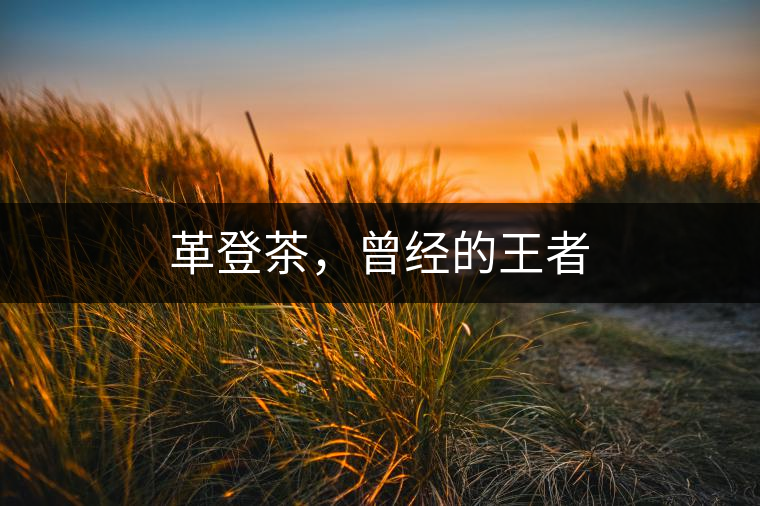 革登茶，曾經的王者