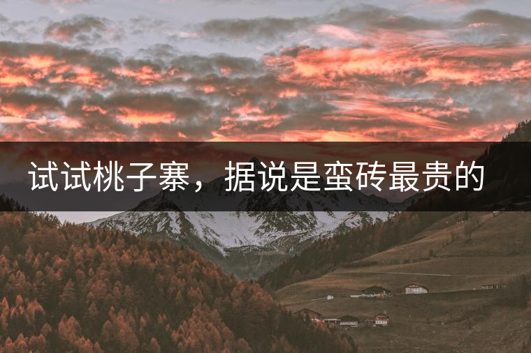 試試桃子寨，據(jù)說是蠻磚最貴的茶