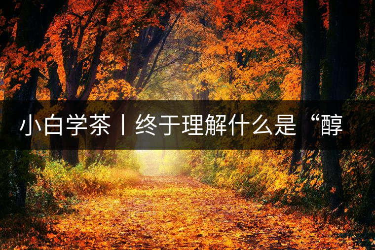 小白學茶丨終于理解什么是“醇厚、耐泡，回甘”了