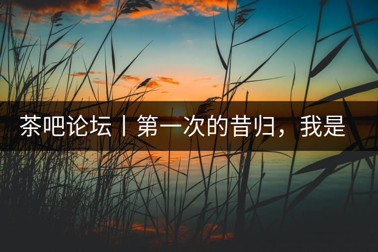 茶吧論壇丨第一次的昔歸，我是這樣喝到的