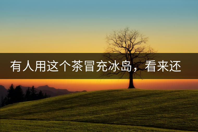 有人用這個茶冒充冰島，看來還是有幾分道理