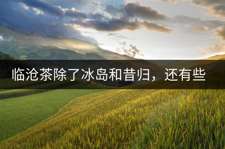 臨滄茶除了冰島和昔歸，還有些什么？