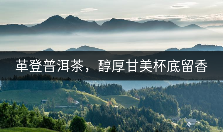 革登普洱茶，醇厚甘美杯底留香