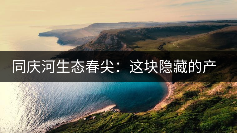 同慶河生態(tài)春尖：這塊隱藏的產(chǎn)茶圣地，你知道嗎？