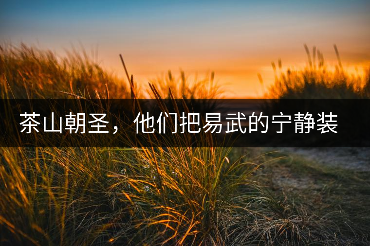 茶山朝圣，他們把易武的寧?kù)o裝進(jìn)心里，卻把成堆垃圾留在