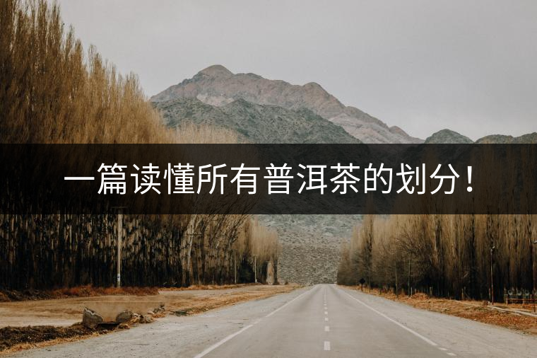 一篇讀懂所有普洱茶的劃分！