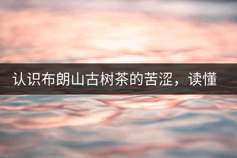 認(rèn)識(shí)布朗山古樹(shù)茶的苦澀，讀懂勐海普洱茶