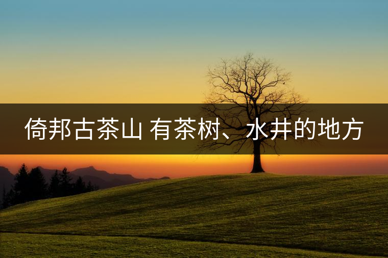 倚邦古茶山 有茶樹、水井的地方