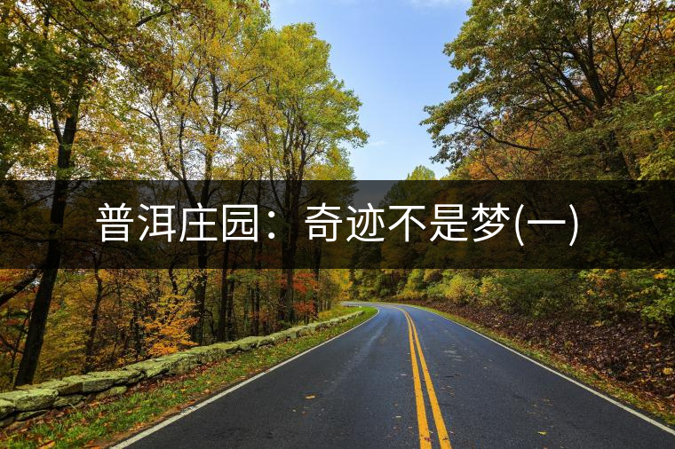 普洱莊園:奇跡不是夢(mèng)(一) 普洱莊園:奇跡不是夢(mèng)(一)