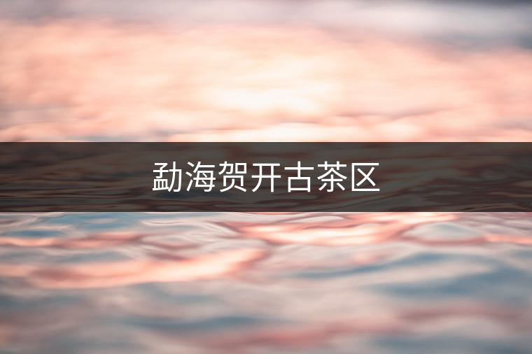 勐海賀開古茶區(qū)