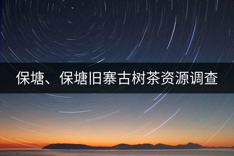 保塘、保塘舊寨古樹茶資源調(diào)查