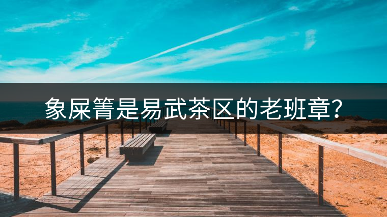 象屎箐是易武茶區(qū)的老班章？