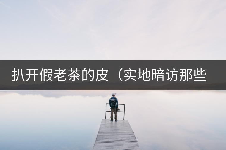 扒開(kāi)假老茶的皮(實(shí)地暗訪那些千奇百怪的假老茶) 扒開(kāi)假老茶的皮(實(shí)地暗訪那些千奇百怪的假老茶)