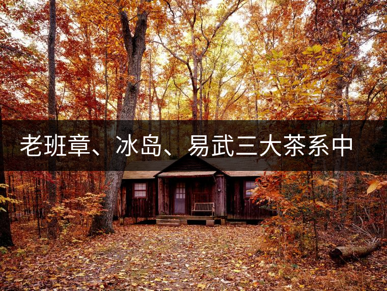 老班章、冰島、易武三大茶系中，“潛力股”為何是易武？