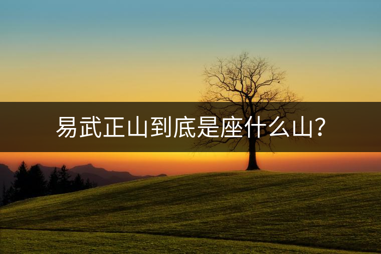 易武正山到底是座什么山？