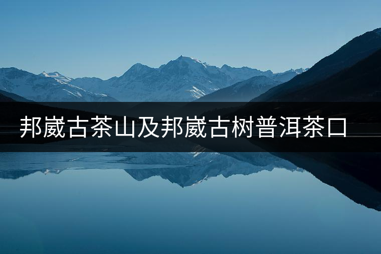 邦崴古茶山及邦崴古樹普洱茶口感特色 邦崴古茶山及邦崴古樹普洱茶口感特色