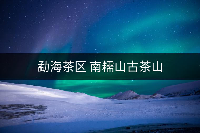 勐海茶區(qū) 南糯山古茶山