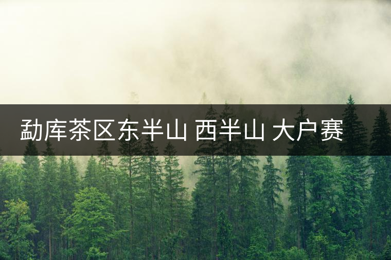 勐庫(kù)茶區(qū)東半山 西半山 大戶賽 小戶賽普洱茶介紹 勐庫(kù)茶區(qū)東半山 西半山 大戶賽 小戶賽普洱茶介紹
