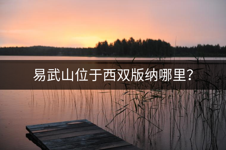 易武山位于西雙版納哪里？