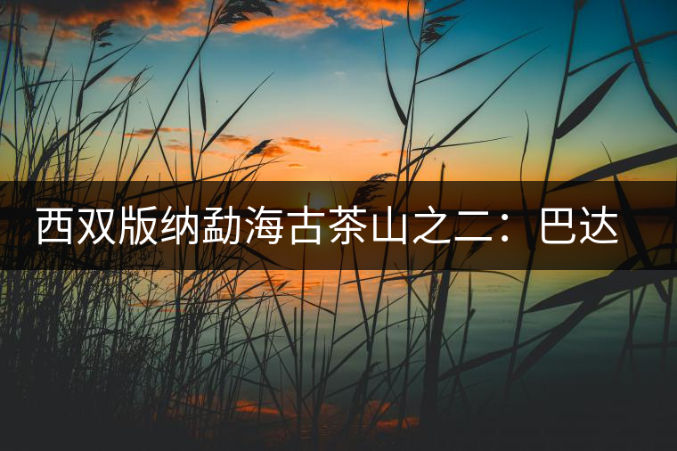 西雙版納勐海古茶山之二:巴達古茶山 西雙版納勐海古茶山之二:巴達古茶山