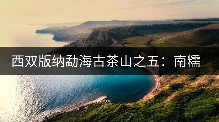 西雙版納勐海古茶山之五：南糯山古茶山