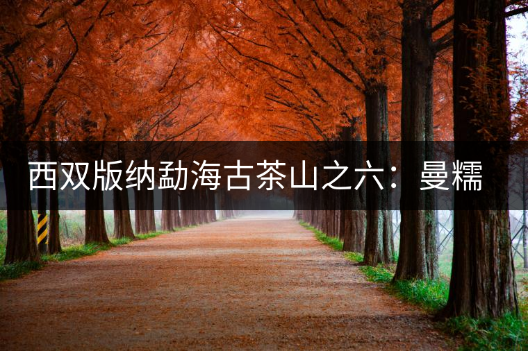 西雙版納勐海古茶山之六:曼糯古茶山 西雙版納勐海古茶山之六:曼糯古茶山