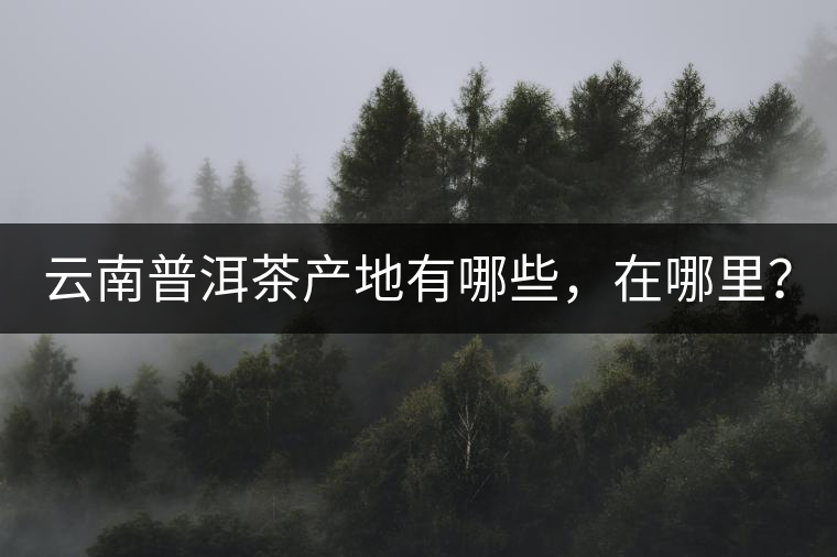 云南普洱茶產(chǎn)地有哪些，在哪里？