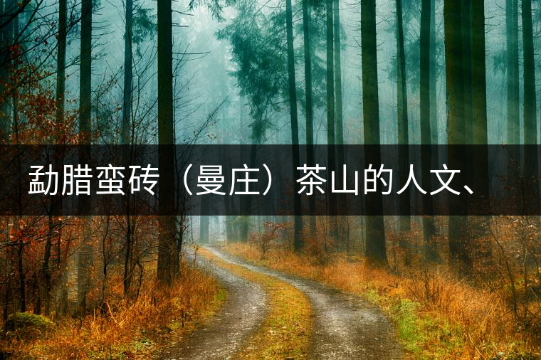 勐臘蠻磚（曼莊）茶山的人文、生態(tài)