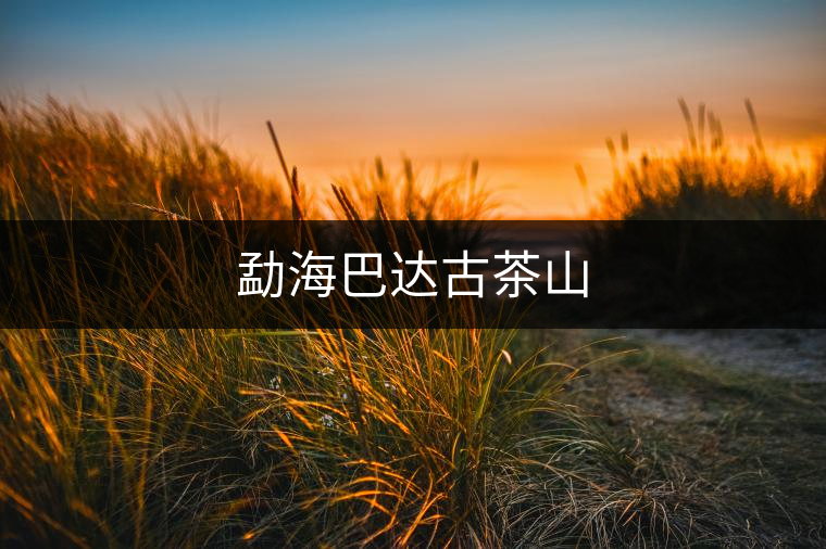 勐海巴達(dá)古茶山 勐海巴達(dá)古茶山