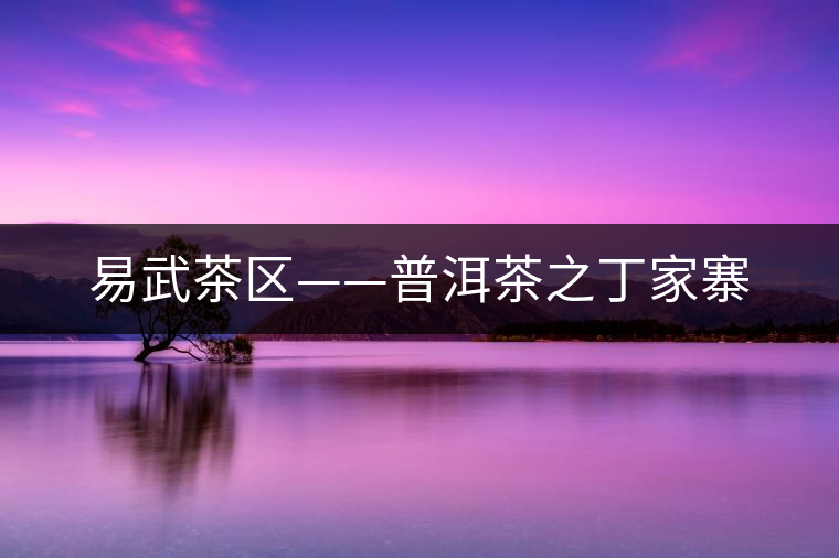 易武茶區(qū)——普洱茶之丁家寨