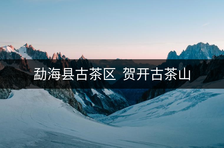 勐?？h古茶區(qū)  賀開(kāi)古茶山