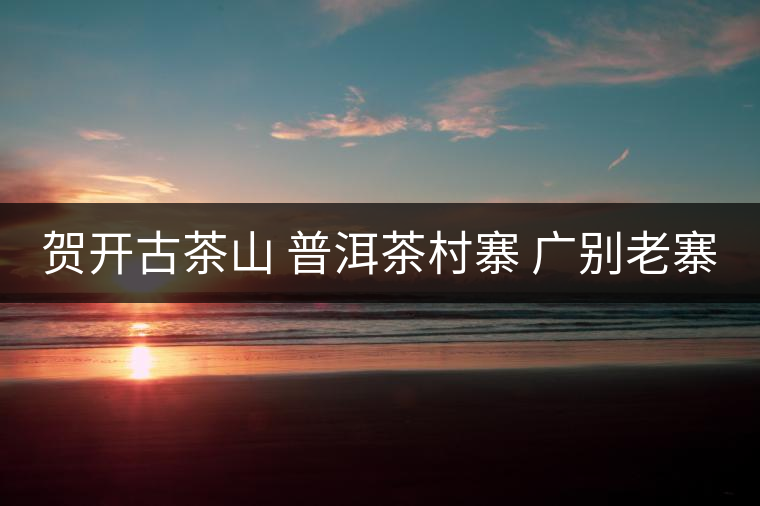 賀開古茶山 普洱茶村寨 廣別老寨 賀開古茶山 普洱茶村寨 廣別老寨