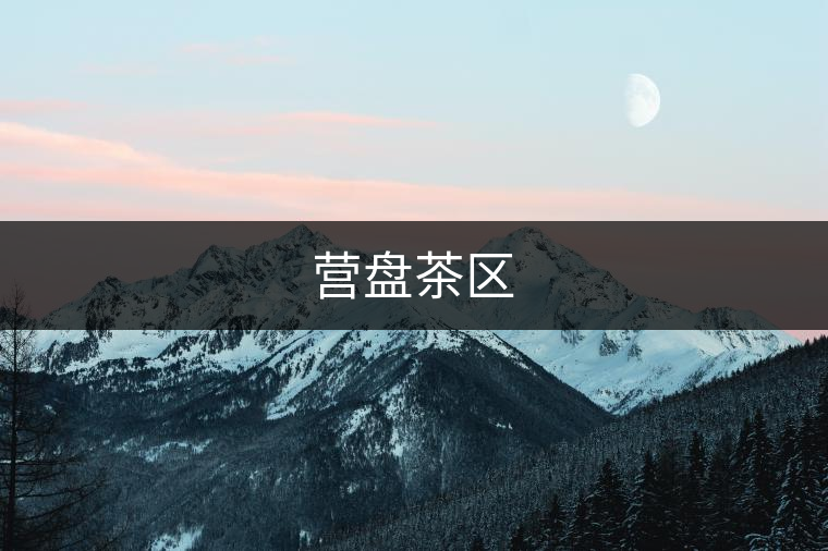 營(yíng)盤(pán)茶區(qū) 營(yíng)盤(pán)茶區(qū)