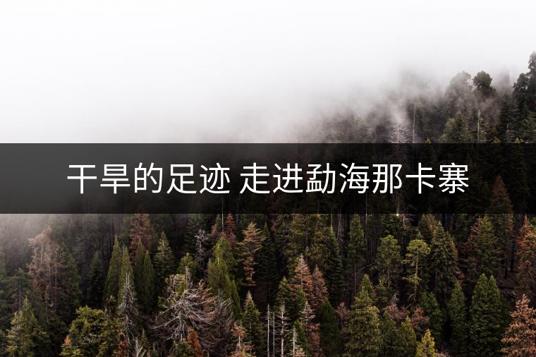 干旱的足跡 走進(jìn)勐海那卡寨