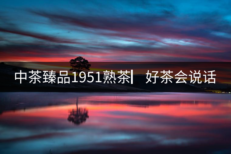 中茶臻品1951熟茶▏好茶會說話 中茶臻品1951熟茶▏好茶會說話