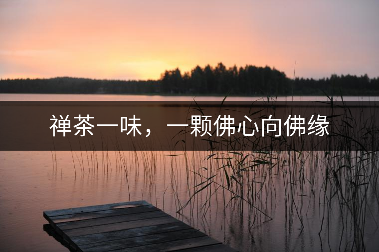 禪茶一味，一顆佛心向佛緣