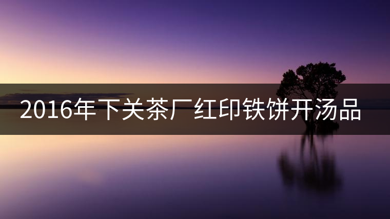 2016年下關(guān)茶廠紅印鐵餅開湯品鑒 2016年下關(guān)茶廠紅印鐵餅開湯品鑒